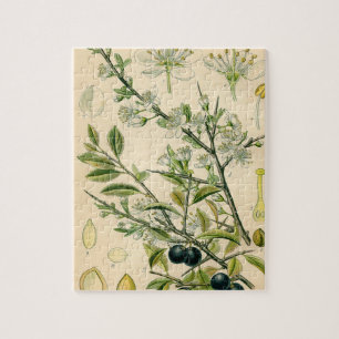 Puzzle Antique Blackthorn Botanique Imprimé Fleur Berry