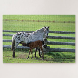 Puzzle Appaloosa Mare and Colt Horse