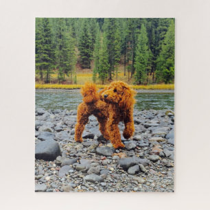 Puzzle Apricot Poodle - Cadeau Personnalisable