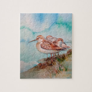 Puzzle Aquarelle Sandpiper Shore Bird