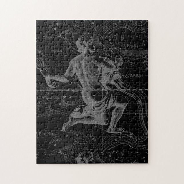 Puzzle Aquarius Zodiac Constellation Hevelius 1690 (Vertical)