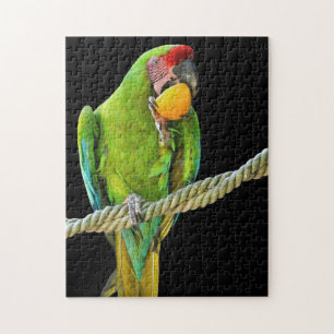 Puzzle Ara Militaris Perroquet Vert