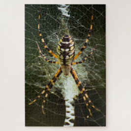 Puzzle Araignée de jardin jaune sur la toile en noir