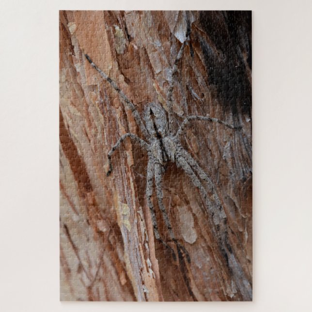Puzzle Araignée loup (Vertical)
