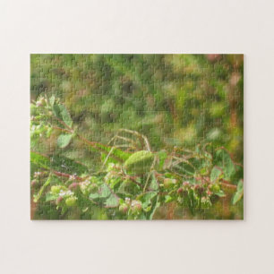 Puzzle Araignée verte Lynx