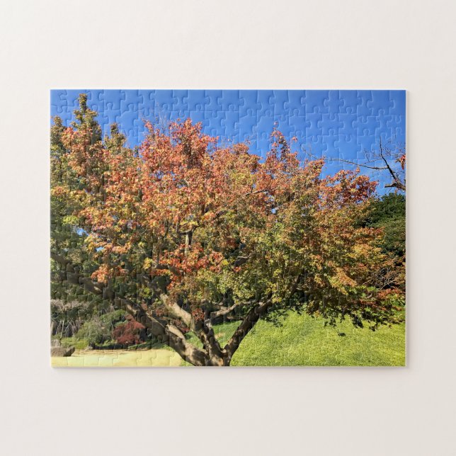 Puzzle Arbre à érable coloré (Horizontal)