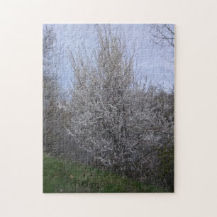 Puzzle arbre blanc fleuri sur la rivière boise