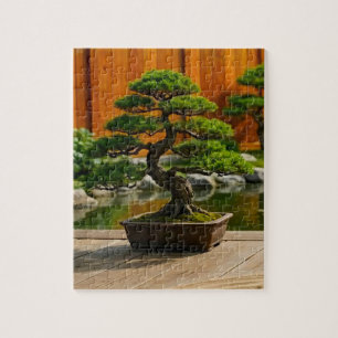 Puzzle Arbre Bonsaï du Dragon de l'Équilibre