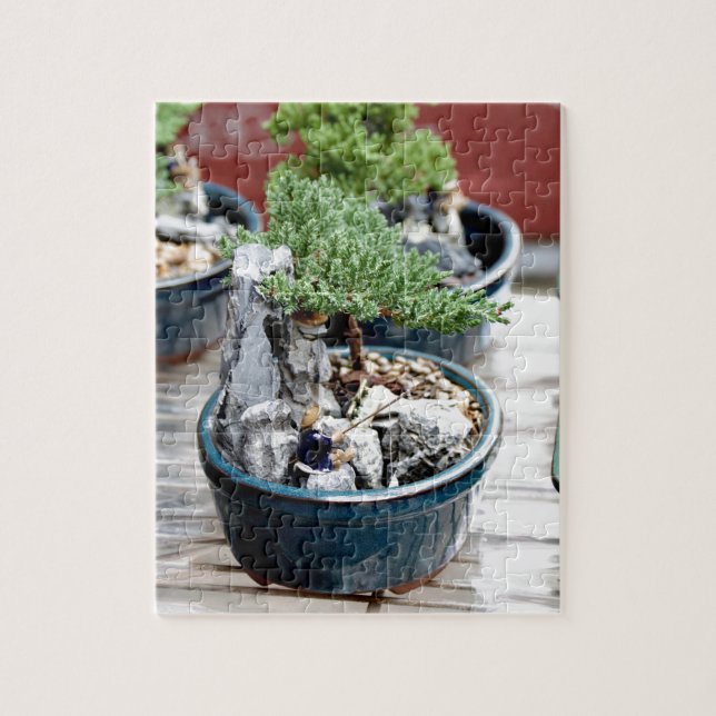 Puzzle Arbre de Bonsai (Vertical)