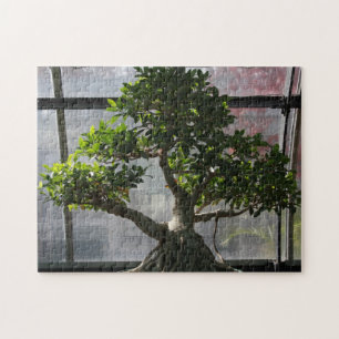 Puzzle Arbre de bonsaïs