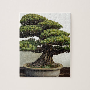 Puzzle Arbre de bonsaïs de White Pine de Japonais