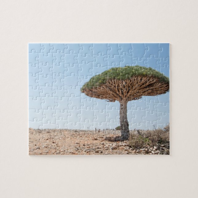 Puzzle Arbre de sang de dragon (Horizontal)