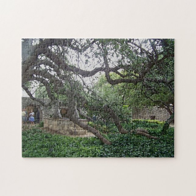 Puzzle Arbre de vrille à Alamo, San Antonio, le Texas (Horizontal)