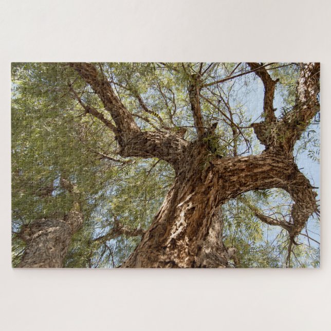 Puzzle Arbre d'épines de papier - Rechercher (Horizontal)