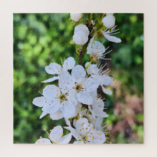 Puzzle Arbre en Fleurs au Printemps Roumanie – Photograph