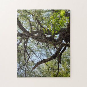 Puzzle Arbre en saule pleureur torsadé et incurvé