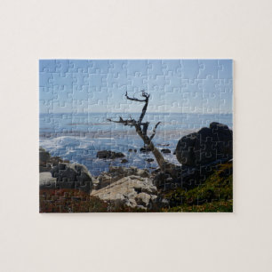Puzzle Arbre fantôme - Pittoresque 17 Mile Drive Jigsaw P