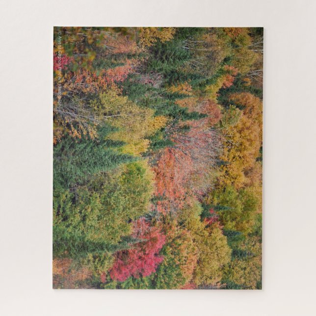 Puzzle Arbre Multicolore (Vertical)