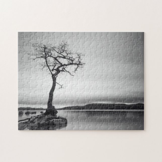 Puzzle Arbre nu isolé (Horizontal)