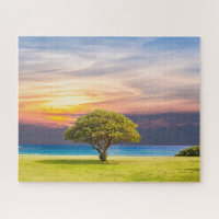 Arbre solitaire