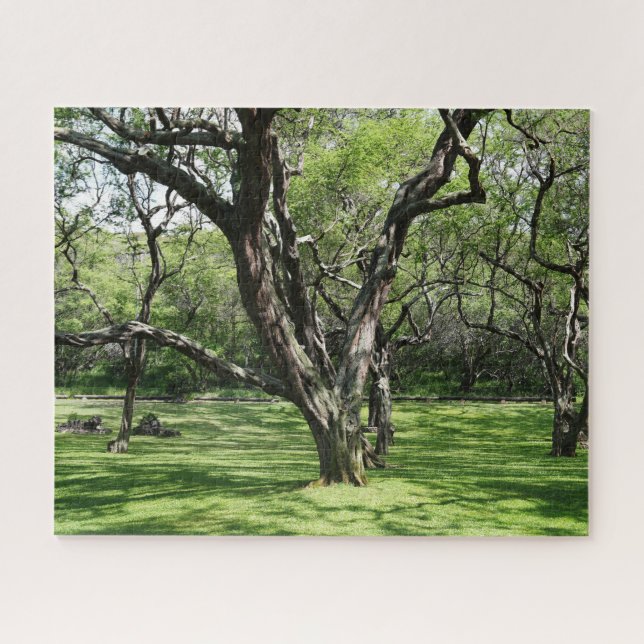 Puzzle Arbres (Horizontal)