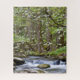 Puzzle Arbres à Dogwood   Great Smoky Mountain, Tennessee