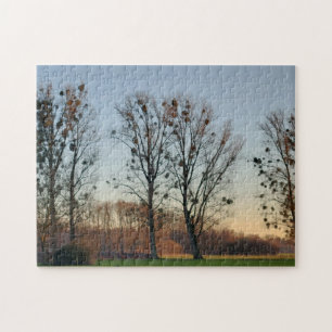 Puzzle Arbres avec mélètte contre un ciel clair