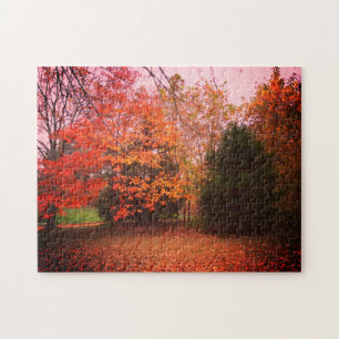Puzzle Arbres Colorés De L'Automne