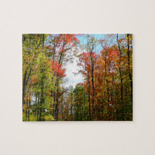Puzzle Arbres d'automne et ciel bleu Photographie de la n