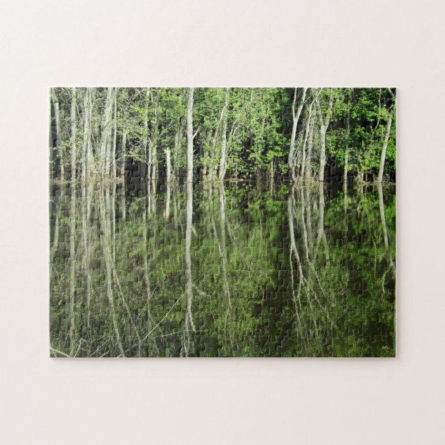 Puzzle Arbres réfléchissant sur le fleuve Mississippi (Horizontal)