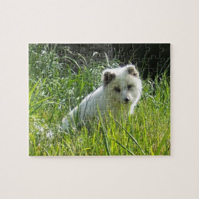 Puzzle Arctic Fox (Horizontal)