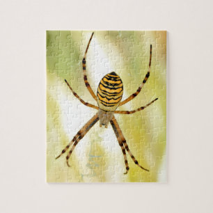 Puzzle Argiope
