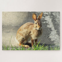 Arisdale Arts : Salon de lapin sauvage