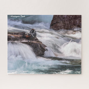 Puzzle Arlequin plongeur