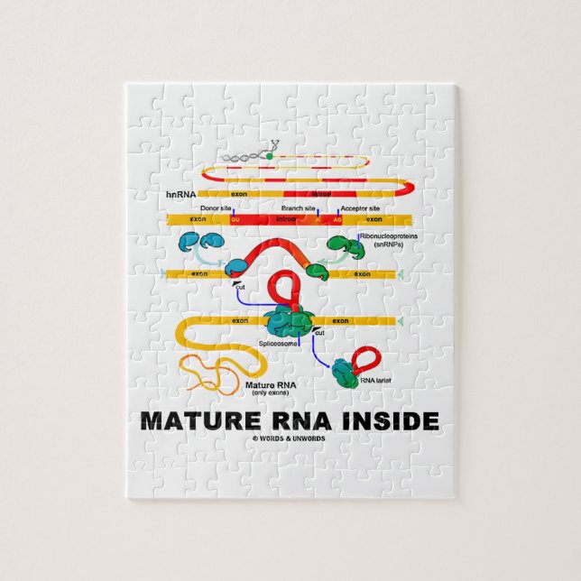 Puzzle ARN mûr à l'intérieur d'humour de biologie (Vertical)