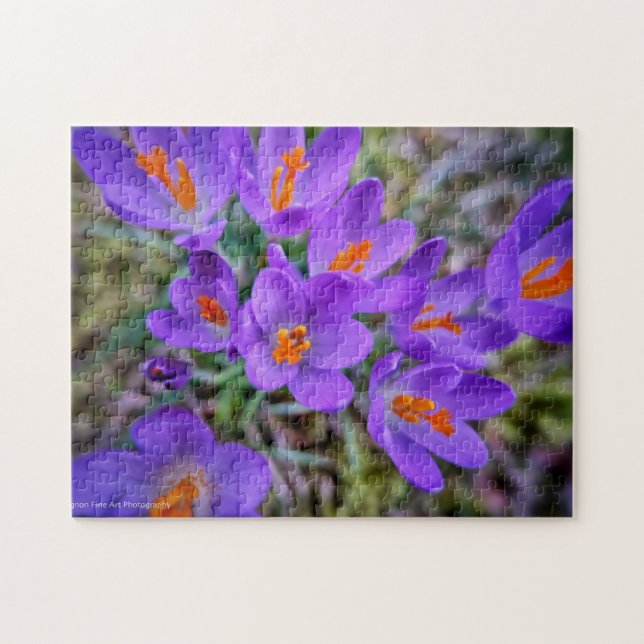 Puzzle Art Crocus (Horizontal)