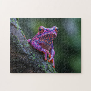 Puzzle Art de la grenouille à arbre rose et pourpre