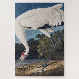 Puzzle Art de la nature sur l'oiseau Grue de Whooping Aud
