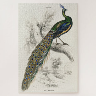 Puzzle Art Déco de Paon Vintage Difficile 1000 Piè
