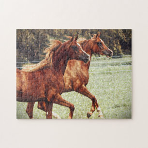 Puzzle artistique de colts de BOGO