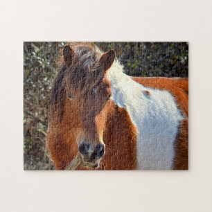 Puzzle Assateague Pinto Mare Mme Macky