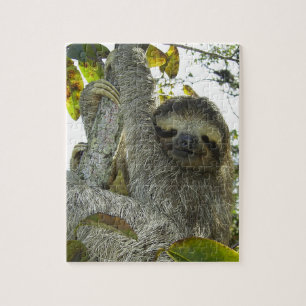 Puzzle Assigne vers le haut d'un arbre