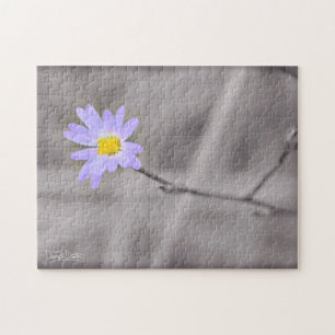 Puzzle Aster pourpre en couleur sélective