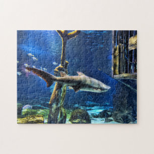 Puzzle Attaque de requin
