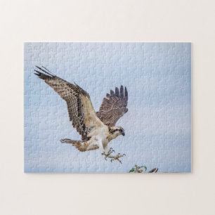 Puzzle Atterrissage d'Osprey dans le nid