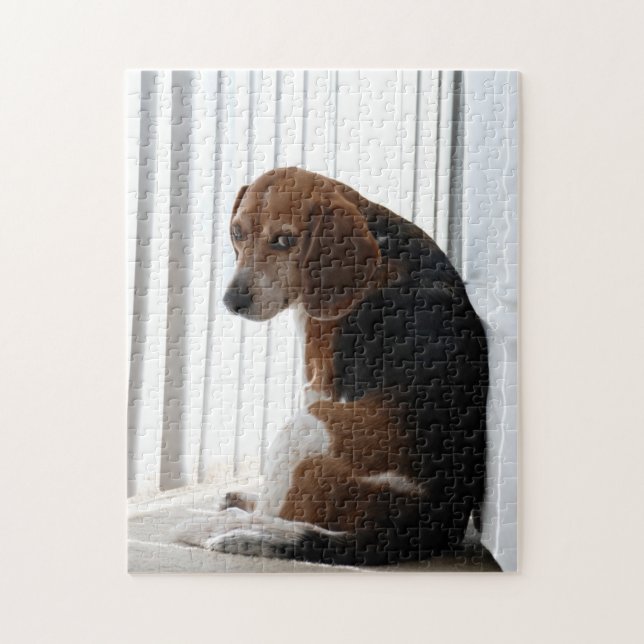 Puzzle attitude de beagle (Vertical)