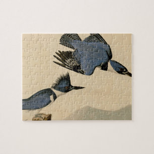 Puzzle Audubon Belted Kingfisher Wildlife Bird