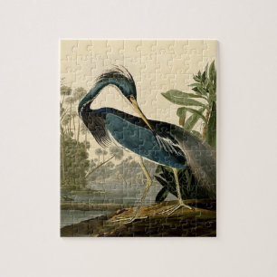 Puzzle Audubon Héron de Louisiane Oiseaux Amérique Art