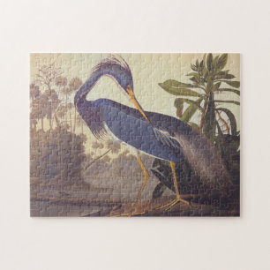Puzzle Audubon Lousiana Heron sur le Marais Côtier