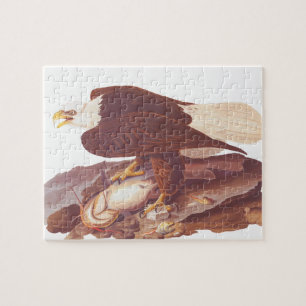 Puzzle Audubon Majestic Aigle à tête blanche avec des pri